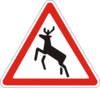 Знак 1.36 Дикие животные